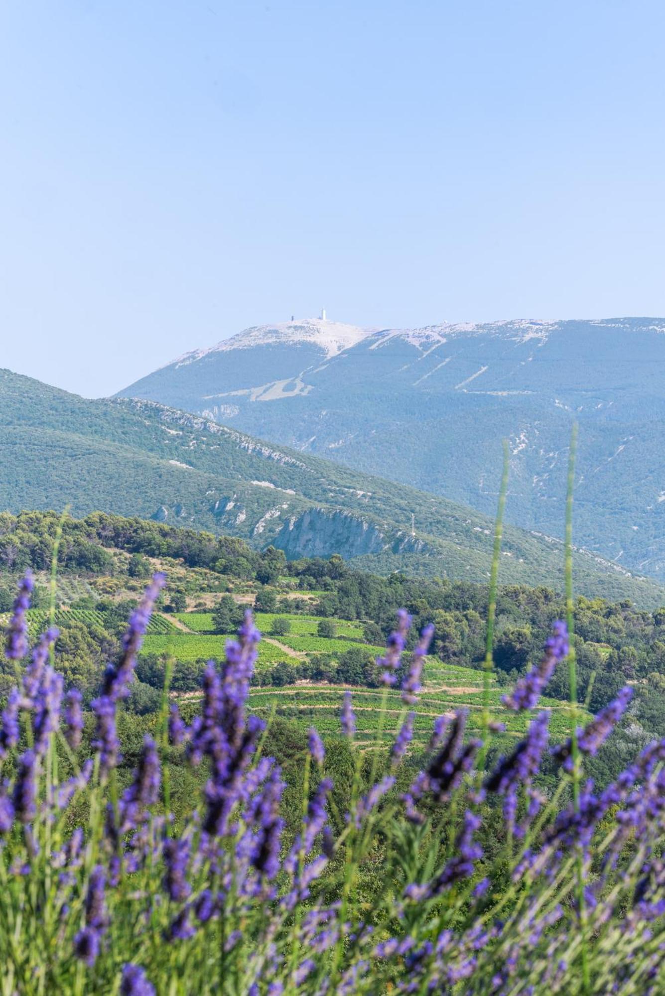 Gite Les Aiguillans Mérindol-les-Oliviers Dış mekan fotoğraf